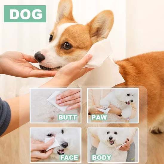 Personalização básica para bebês/adultos/animais de estimação Antibacteriano/Desinfetante/Desinfetante/Álcool/Remoção de maquiagem Lavagem facial Toalha molhada/Toalhetes